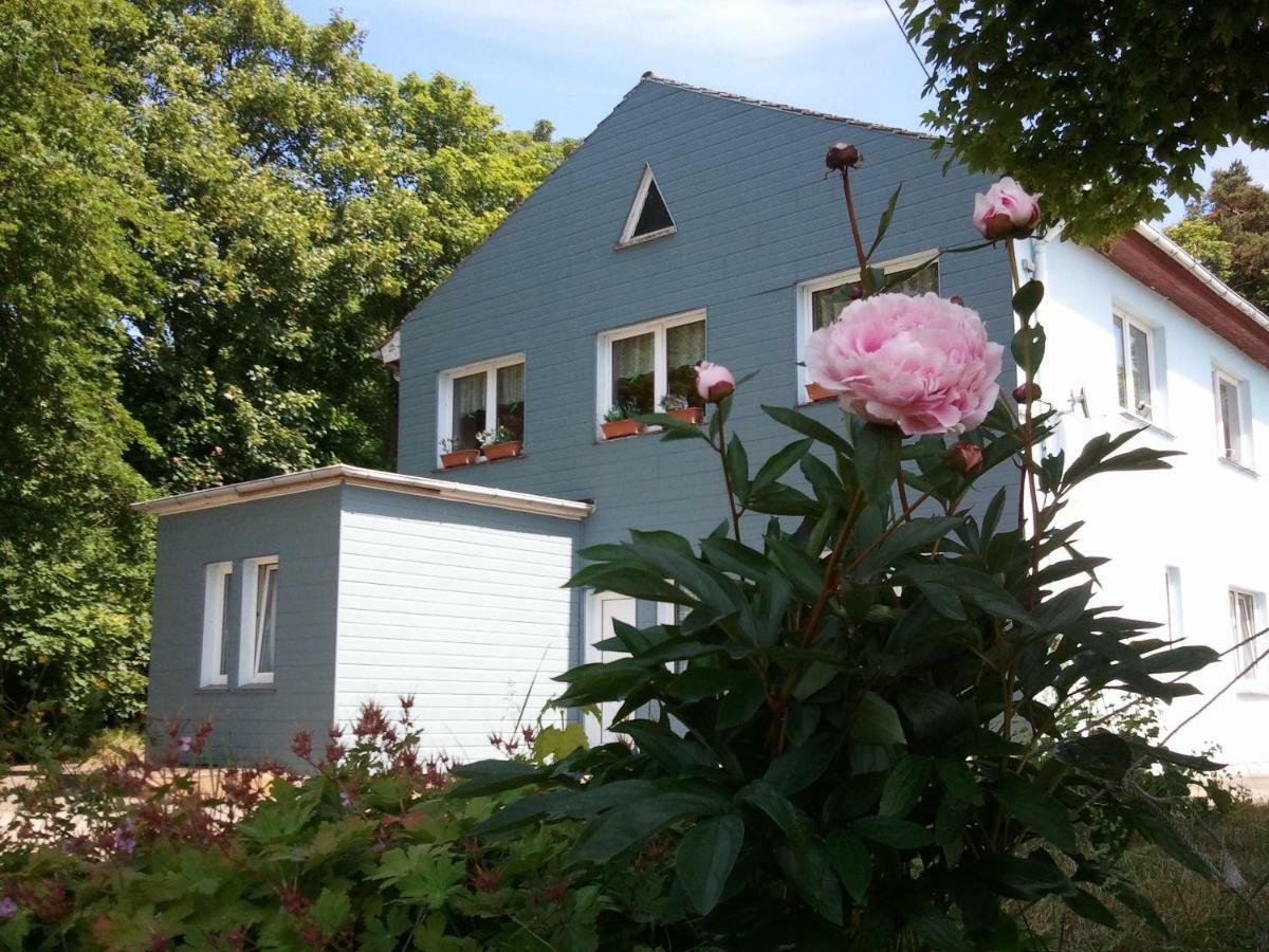 Gasthof Blaues Haus Hotel Bastorf Eksteriør billede